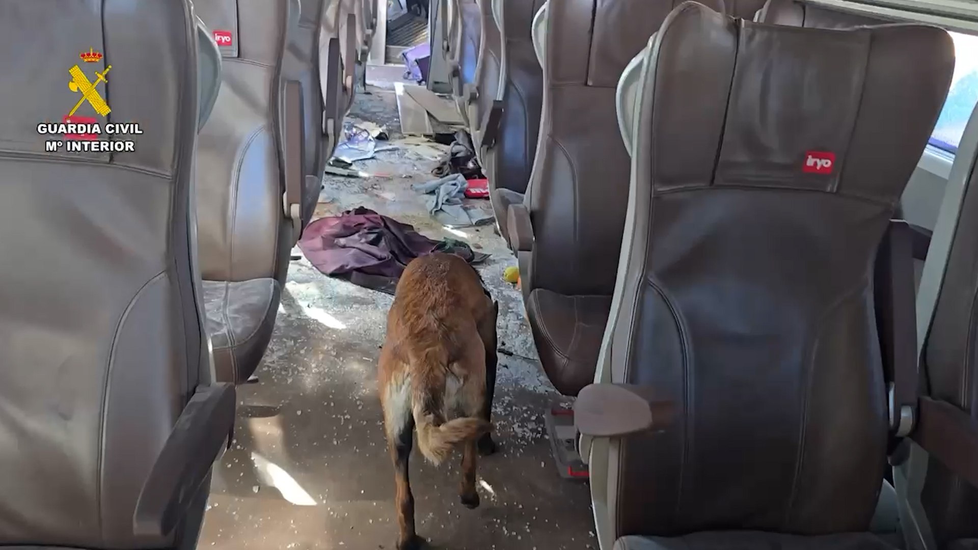 Los perros de la Guardia Civil buscan evidencias entre las pertenencias de los viajeros