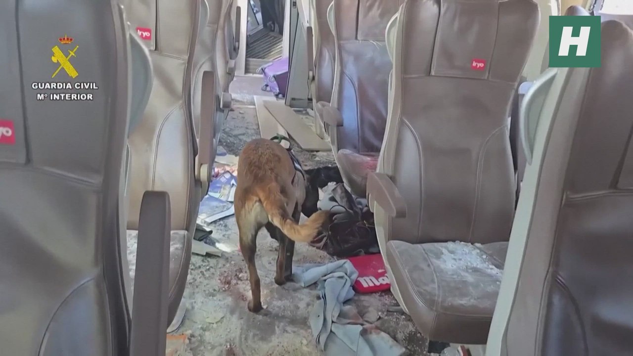 La Guardia Civil despliega perros rastreadores tras el accidente ferroviario mortal