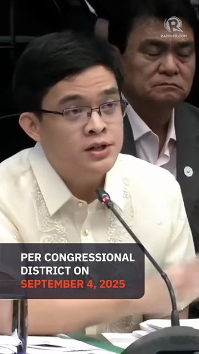 DPWH officials say Leviste took soft copies of ‘Cabral files’ by force