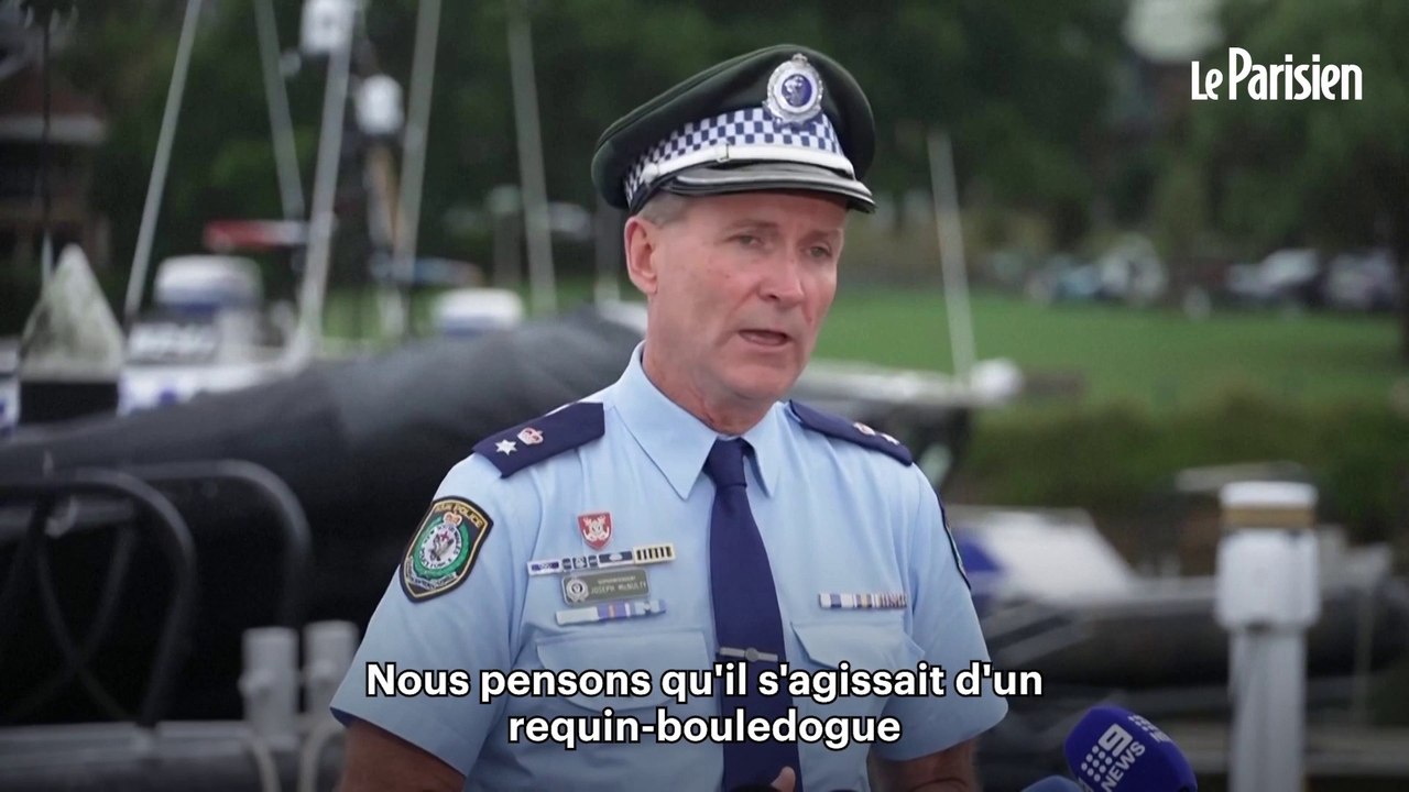 Comment la météo a provoqué 4 attaques de requins en 26 heures en Australie