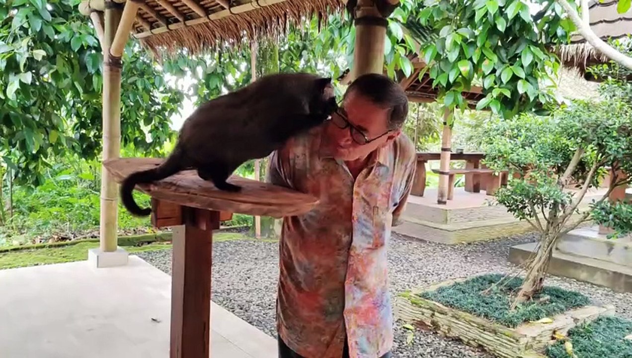 The World Most Expensive Coffee - Kopi Luwak - Palm Civet Cat