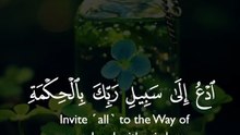 ادْعُ إِلَىٰ سَبِيلِ رَبِّكَ بِالْحِكْمَةِ والموعظة الْحَسَنَةِ