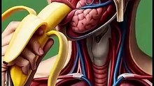 “What Happens When You Eat a Banana  Quick Health Science Explained”