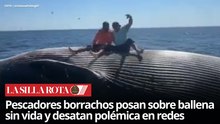 Imprudencia extrema: pescadores ebrios sobre una ballena sin vida a punto de explotar