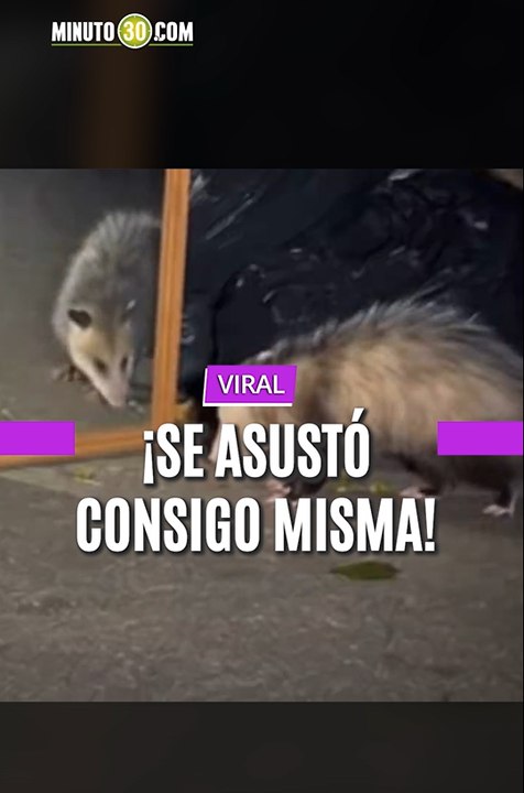 ¡Se asustó consigo misma!