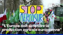 Mercosur: des milliers d'agriculteurs protestent devant le Parlement européen