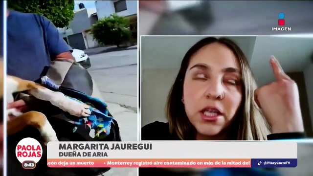 Rescatan a perrita maltratada y encadenada en Edomex | DPC con Paola Rojas