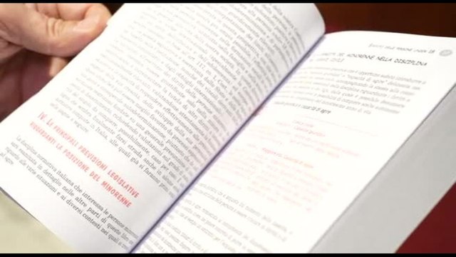 Codice Junior, una guida per gli under 18 su diritti e doveri
