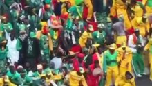Arrestation supporters senegalais