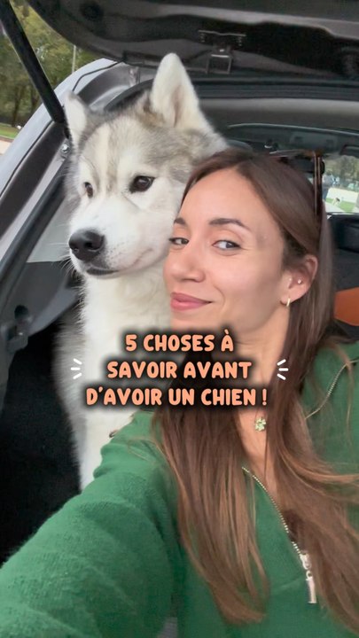5 choses que tu dois savoir avant d’avoir un chien ! 🐕