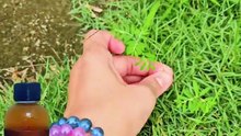 Rebusan Pokok Dukung Anak