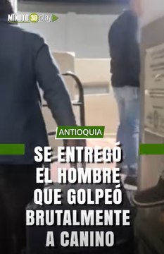 Se entregó el hombre que golpeó brutalmente a canino en Antioquia