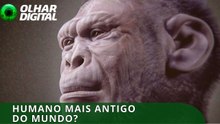 O fóssil de 2 milhões de anos que pode reescrever a evolução humana
