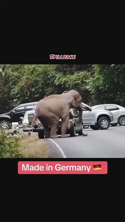 Made in germany