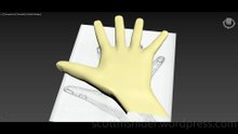 Flame: 3DS MAX Practice Polygon Hand Model Video #15 (01-21-2026)