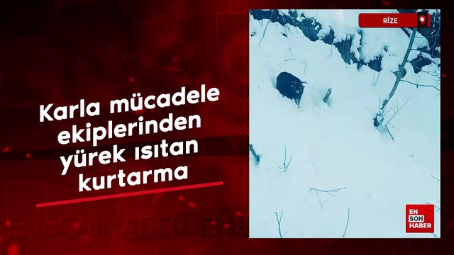 Rize'de karla mücadele ekiplerinden yürek ısıtan kurtarma