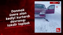 Sivas'a donmak üzere olan kediyi kurtardı