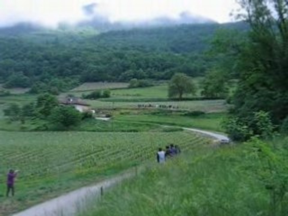 Saxo épine 2008