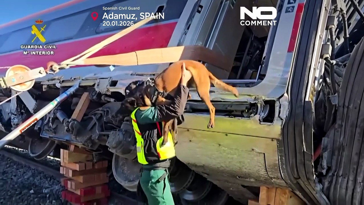 Despliegan unidades caninas para recabar pruebas tras el accidente de tren en Adamuz