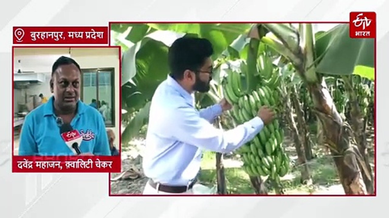 लाखों की नौकरी छोड़ अपने गांव लौटा युवक, केले के चिप्स से दिया 30 को रोजगार, मिलियन में कमाई