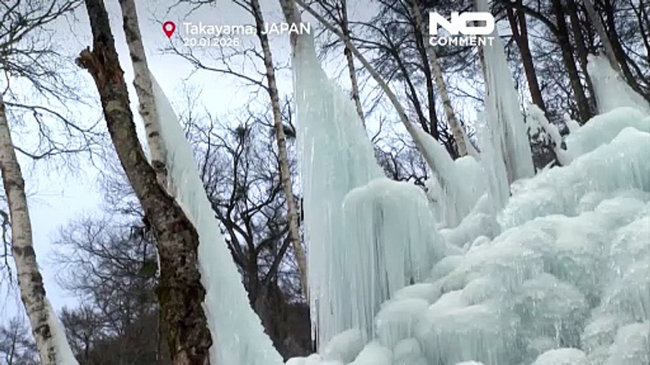 „Subzero Forest”: zimowa magia w górskim zajeździe w Takayamie