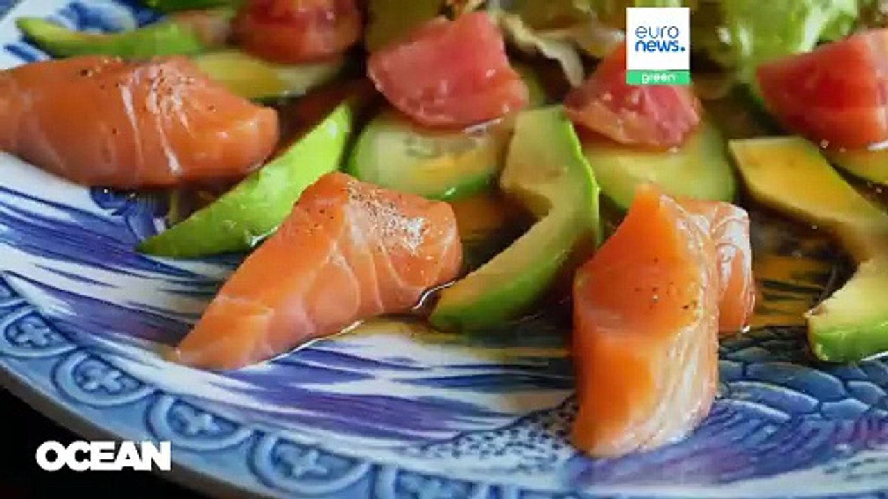 Massentierhaltung und Überfischung: Ist der Verzehr von Lachs schlecht für die Umwelt?