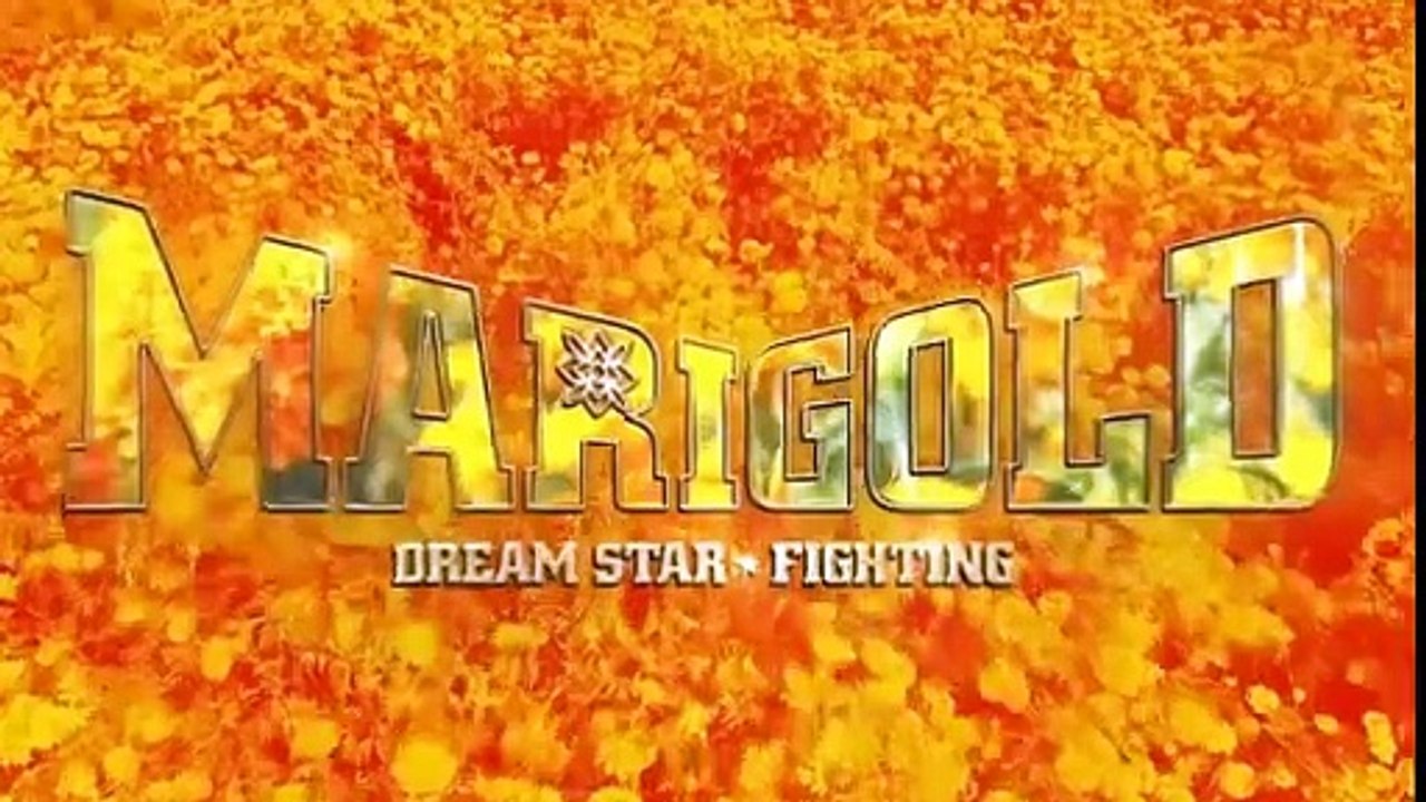 MARIGOLD New Years Golden Garden 2026 - Tag 1 Mayu Iwatani & Victoria Yuzuki vs. Miku Aono & Utami Hayashishita