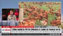 China encerra embargo e libera carne de frango do Rio Grande do Sul