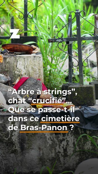 “Arbre à strings”, chat “crucifié”... Que se passe-t-il dans ce cimetière de Bras-Panon ?