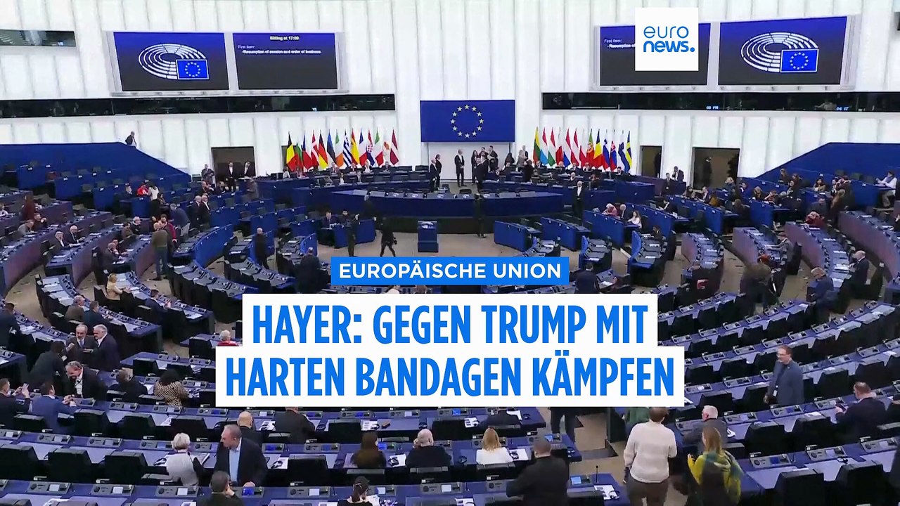 Renew Europe-Vorsitzende Hayer: Müssen Trump mit harten Bandagen bekämpfen