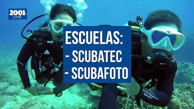 Guía para practicar buceo en Caracas: cursos, certificaciones y costos actuales