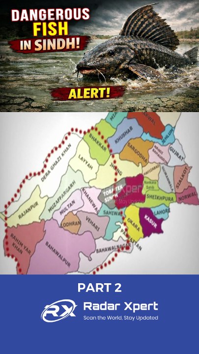 Amazon Sailfin Catfish Spotted in Sindh | Threat to Local Fish Explained - Part 2