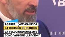 Abascal califica la decisión de reducir la velocidad del ave como "autoinculpación" del Gobierno en Adamuz