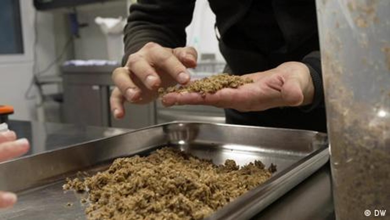 Veganer Fleischersatz aus Brauresten