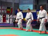 Championnat d'Europe Karaté Wuko 2008 Katas équipes