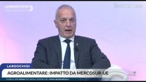 Mercosur, Bergesio: accordo deve tutelare agricoltori italiani