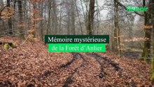 La Vieille Église : le site mystérieux de la forêt d’Anlier