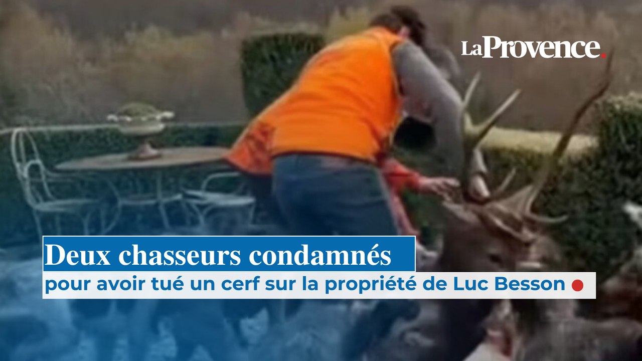 Deux chasseurs condamnés pour avoir tué un cerf sur la propriété de Luc Besson