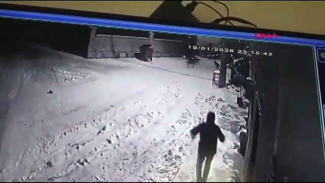 Bir vatandaş mahalleye inen aç kurtları elinde çaydanlıkla kovaladı!