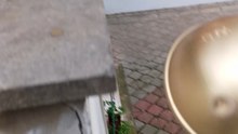 #cat