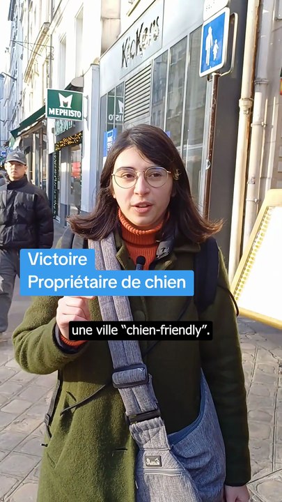 Des chiens électrocutés à Paris