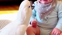 Cute baby playing with parrot