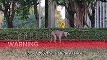 Petvara Dog Collar – Ultimate Freedom & Control for Your Dog