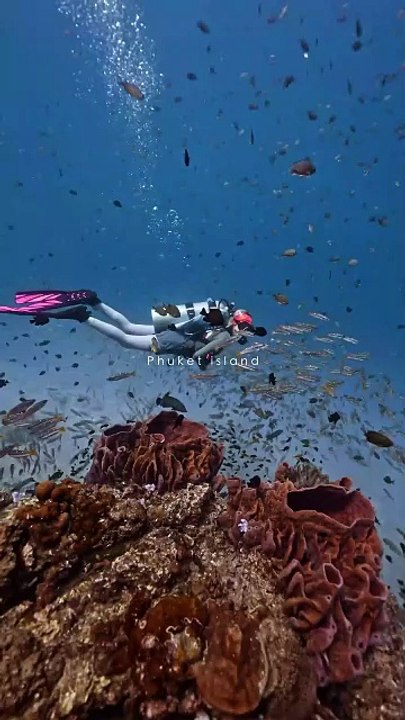 Relaxing Underwater Ocean Music | Calm Nature Video