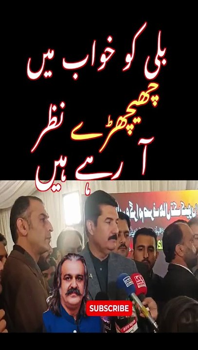 Governor KPK Faisal Karim Kundi on Amin Gandapur #shorts #amingandapur #faisalkarimkundi