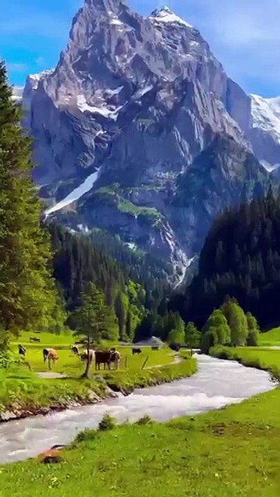 Switzerland- The Land of Pure Nature (2)