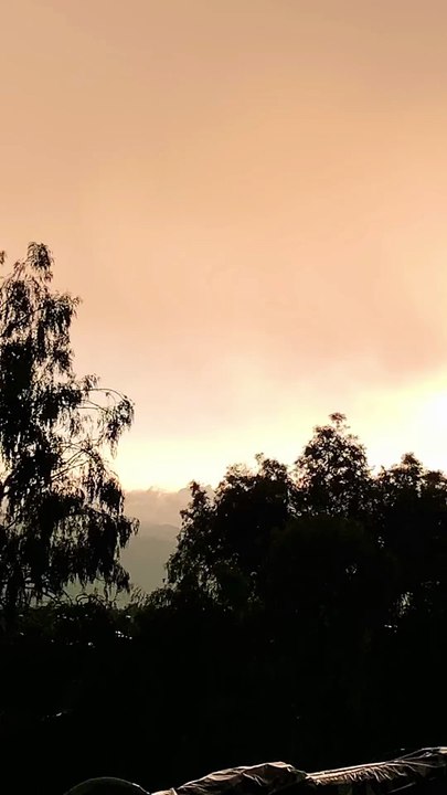Weather forecast