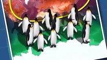 Why Penguins 🐧 Don’t Cross This Invisible Line