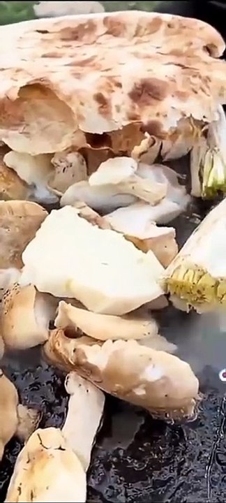 Dağ mantarı