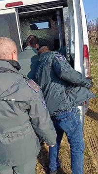 Capriolo resta intrappolato in una casa: salvato e liberato in collina